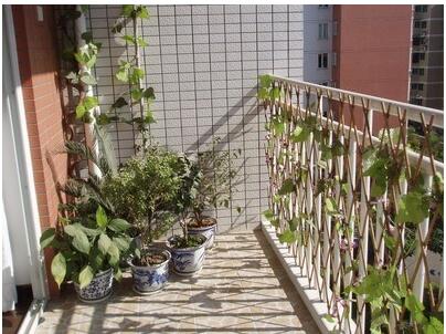 一樓的后花園 設(shè)計富有自然情調(diào)的籬笆